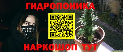 амф Старая Купавна