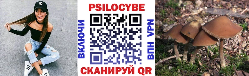 Галлюциногенные грибы Cubensis Тольятти